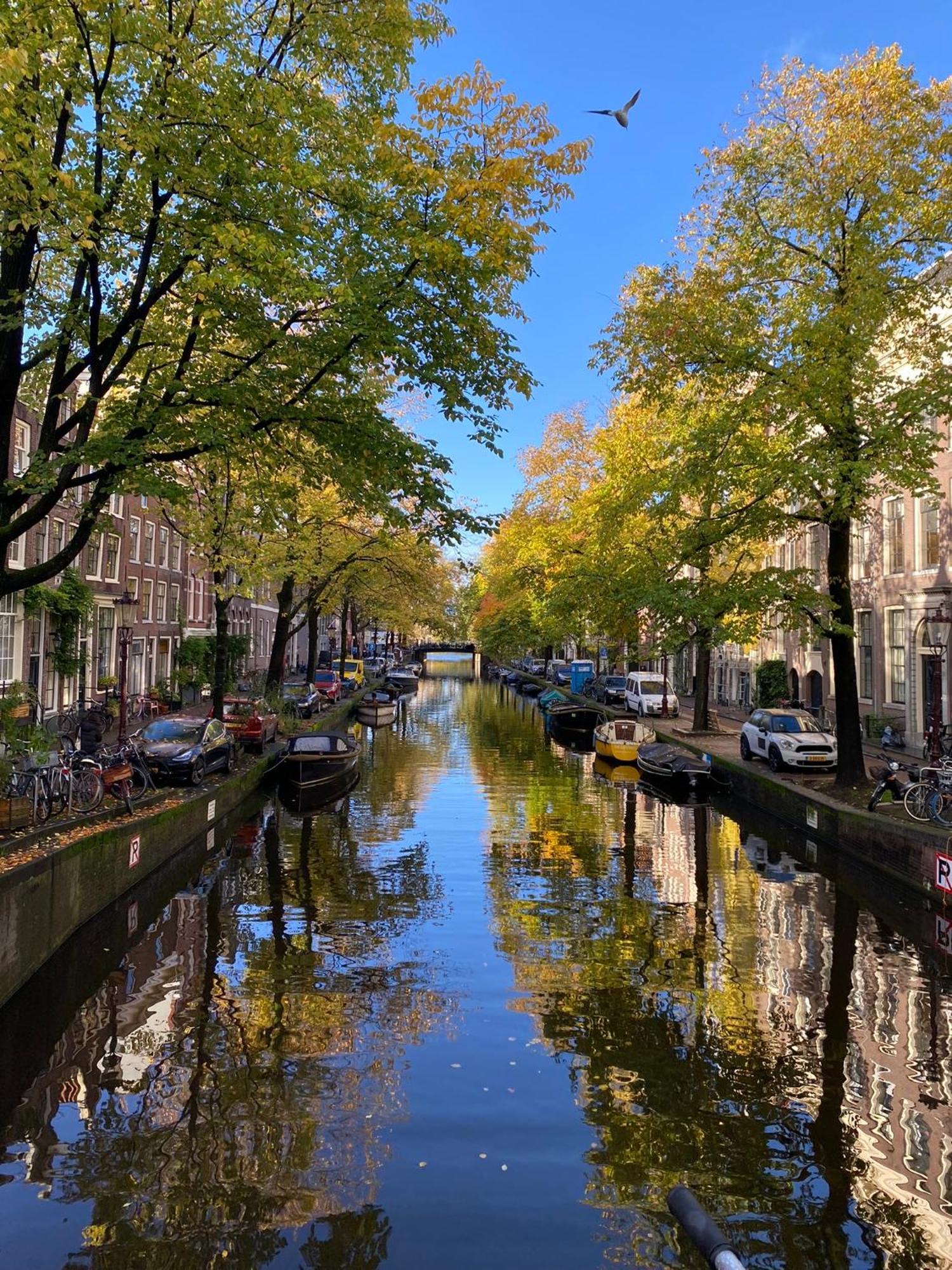 Chez Sybi Hotell Amsterdam Eksteriør bilde